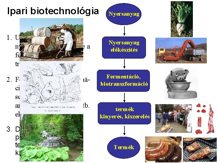 Ipari biotechnológia kulcslépései 1. Upstream processing: a nyersanyag előkészítése a fermentációra, vagy transzformációra 2.