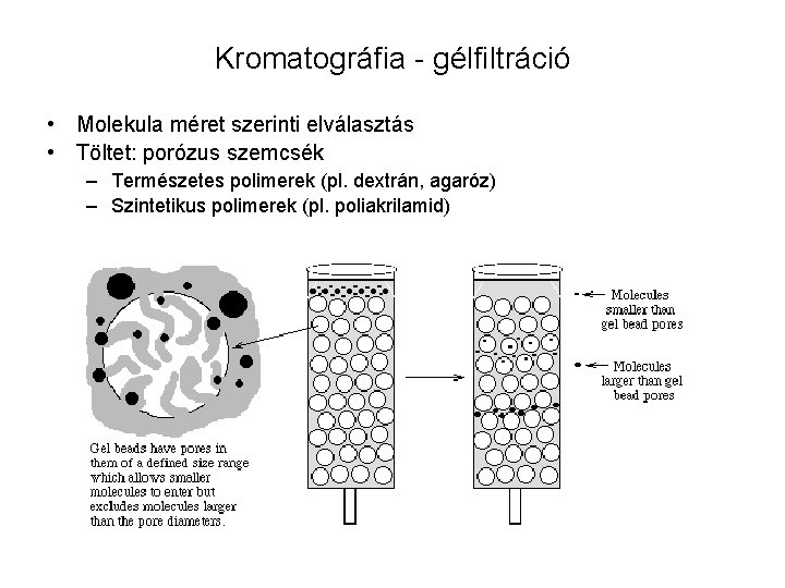 Kromatográfia - gélfiltráció • Molekula méret szerinti elválasztás • Töltet: porózus szemcsék – Természetes