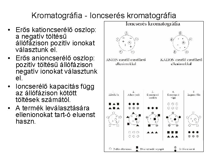 Kromatográfia - Ioncserés kromatográfia • Erős kationcserélő oszlop: a negatív töltésű állófázison pozitív ionokat