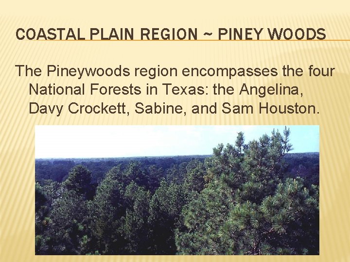 COASTAL PLAIN REGION ~ PINEY WOODS The Pineywoods region encompasses the four National Forests