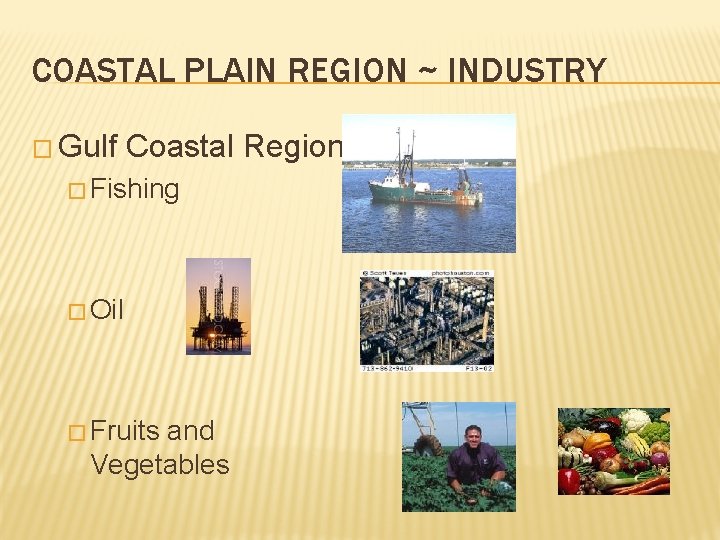 COASTAL PLAIN REGION ~ INDUSTRY � Gulf Coastal Region � Fishing � Oil �