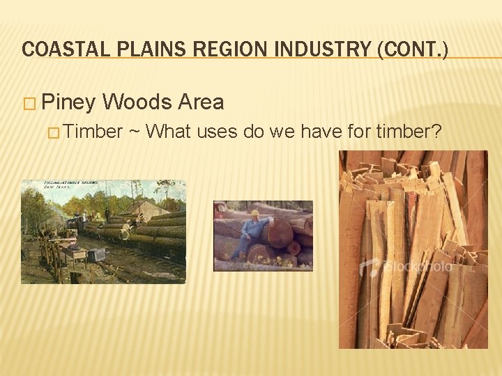 COASTAL PLAINS REGION INDUSTRY (CONT. ) � Piney Woods Area � Timber ~ What