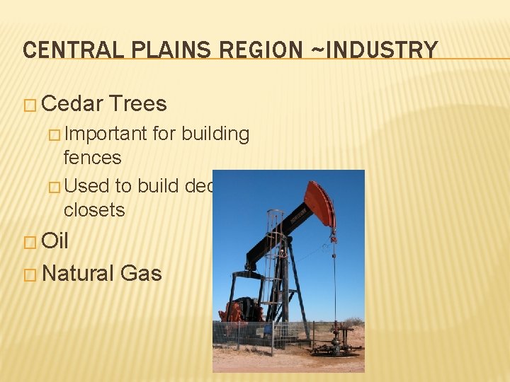 CENTRAL PLAINS REGION ~INDUSTRY � Cedar Trees � Important for building fences � Used
