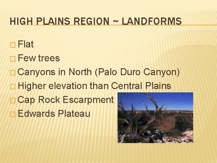 HIGH PLAINS REGION ~ LANDFORMS � Flat � Few trees � Canyons in North