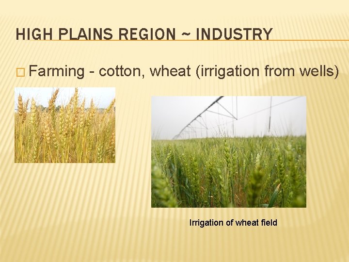 HIGH PLAINS REGION ~ INDUSTRY � Farming - cotton, wheat (irrigation from wells) Irrigation