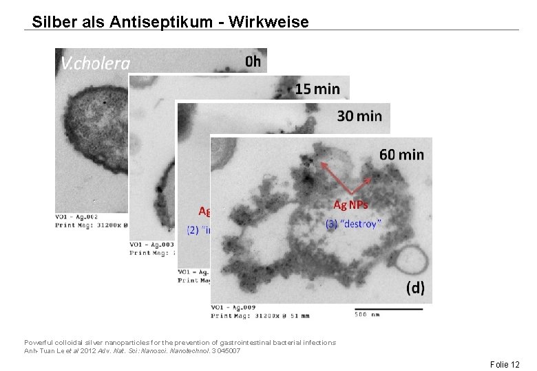 Silber als Antiseptikum - Wirkweise Powerful colloidal silver nanoparticles for the prevention of gastrointestinal