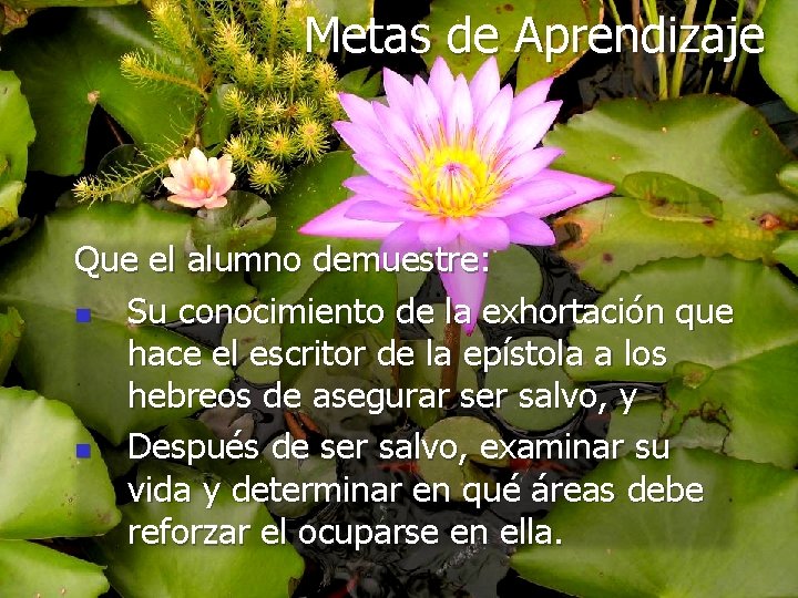 Metas de Aprendizaje Que el alumno demuestre: n Su conocimiento de la exhortación que