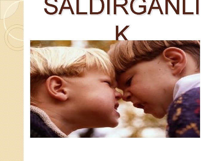 SALDIRGANLI K 