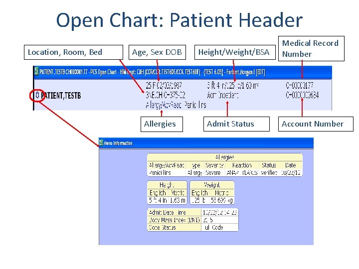 Open Chart: Patient Header Location, Room, Bed Age, Sex DOB Allergies Height/Weight/BSA Admit Status