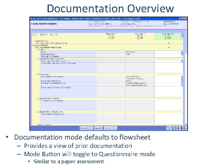 Documentation Overview • Documentation mode defaults to flowsheet – Provides a view of prior