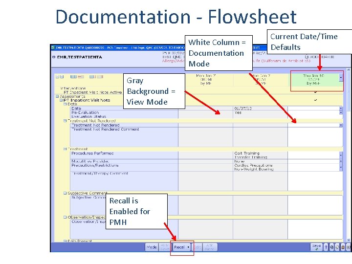 Documentation - Flowsheet White Column = Documentation Mode Gray Background = View Mode Recall