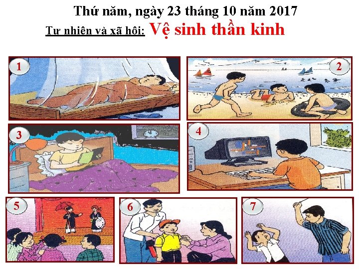 Thứ năm, ngày 23 tháng 10 năm 2017 Tự nhiên và xã hội: Vệ