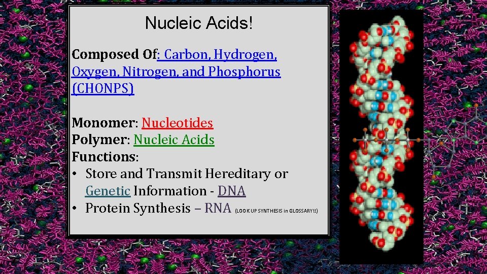 Nucleic Acids! Composed Of: Carbon, Hydrogen, Oxygen, Nitrogen, and Phosphorus (CHONPS) Monomer: Nucleotides Polymer: