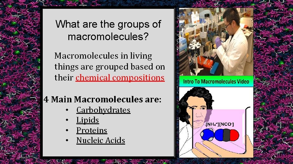 What are the groups of macromolecules? Macromolecules in living things are grouped based on