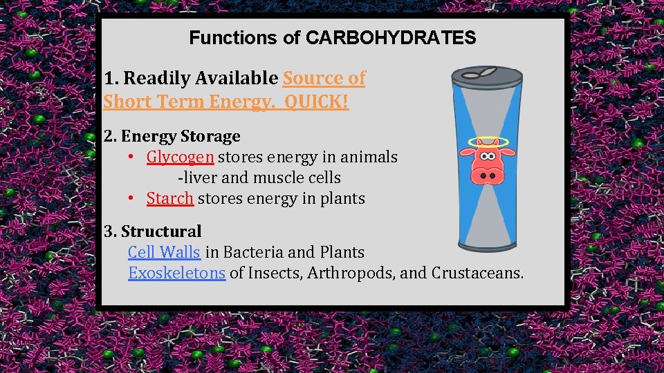 Functions of CARBOHYDRATES 1. Readily Available Source of Short Term Energy. QUICK! 2. Energy