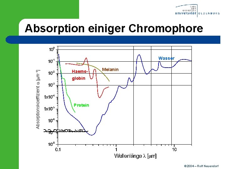 Absorption einiger Chromophore Absorptionskoeffizient a [mm-1] Wasser Haemo- Melanin globin Protein 2004 – Rolf