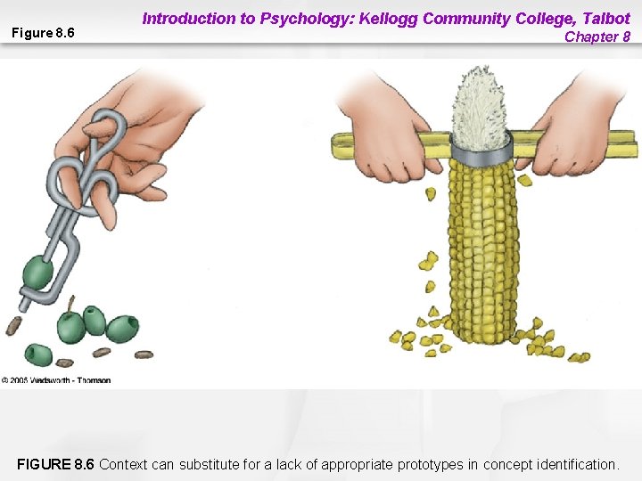 Figure 8. 6 Introduction to Psychology: Kellogg Community College, Talbot Chapter 8 FIGURE 8.