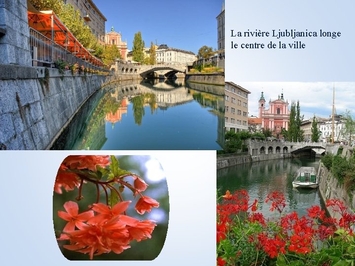 La rivière Ljubljanica longe le centre de la ville 