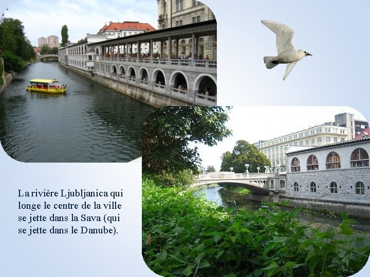 La rivière Ljubljanica qui longe le centre de la ville se jette dans la