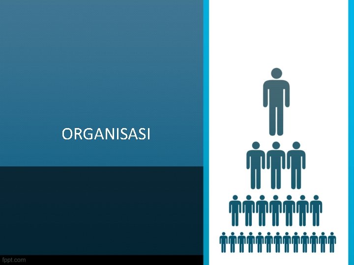 ORGANISASI 