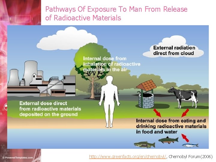 Pathways Of Exposure To Man From Release of Radioactive Materials http: //www. greenfacts. org/en/chernobyl/,