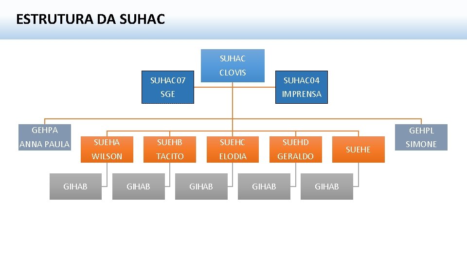 ESTRUTURA DA SUHAC CLOVIS SUHAC 07 SGE GEHPA ANNA PAULA GIHAB SUEHA WILSON SUEHB