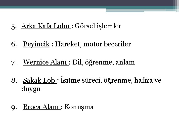 5. Arka Kafa Lobu : Görsel işlemler 6. Beyincik : Hareket, motor beceriler 7.