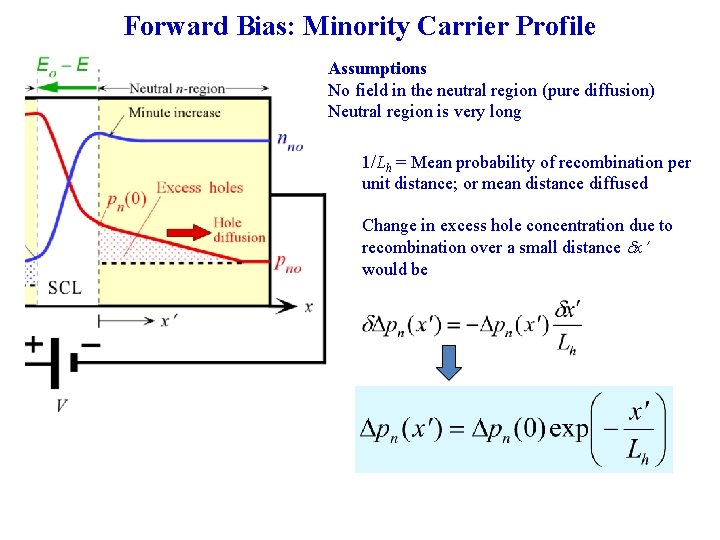 Forward Bias: Minority Carrier Profile Assumptions No field in the neutral region (pure diffusion)