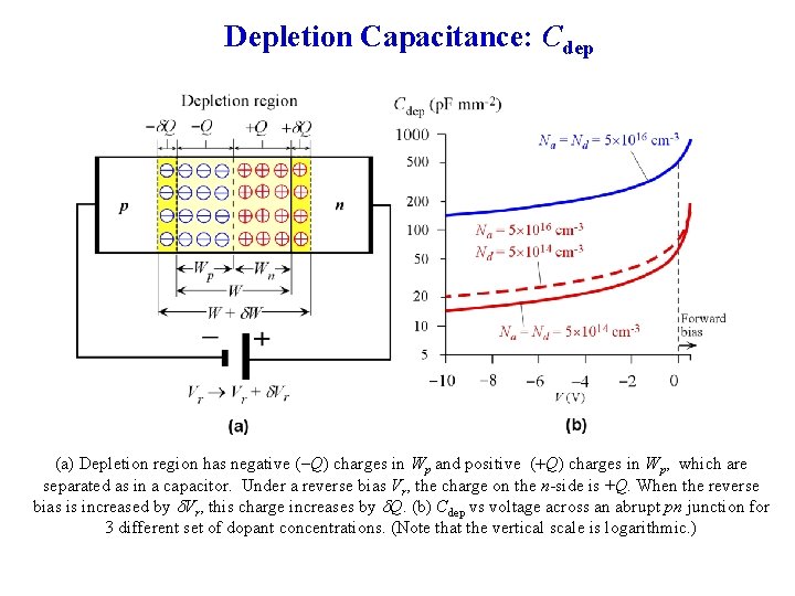 Depletion Capacitance: Cdep (a) Depletion region has negative (-Q) charges in Wp and positive