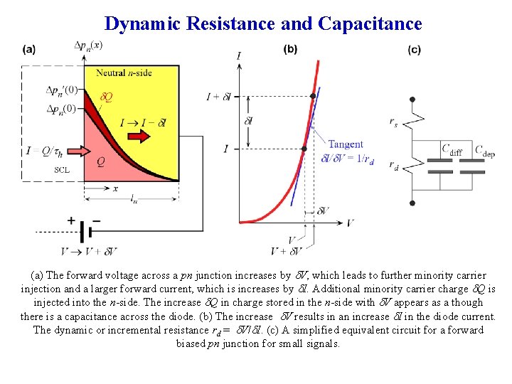 Dynamic Resistance and Capacitance (a) The forward voltage across a pn junction increases by