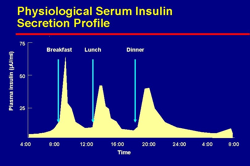 Physiological Serum Insulin Secretion Profile Plasma insulin (µU/ml) 75 Breakfast Lunch Dinner 50 25