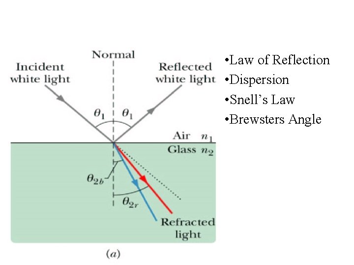  • Law of Reflection • Dispersion • Snell’s Law • Brewsters Angle 