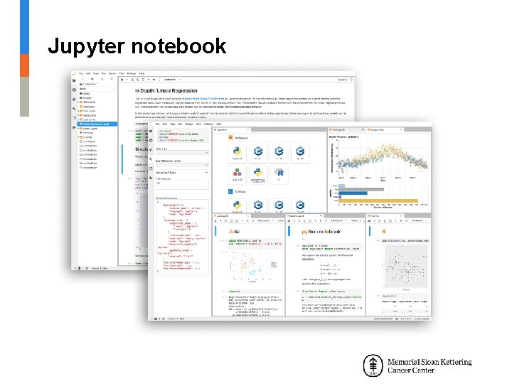Jupyter notebook 