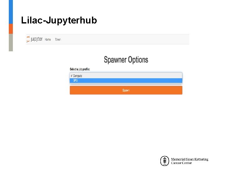 Lilac-Jupyterhub 