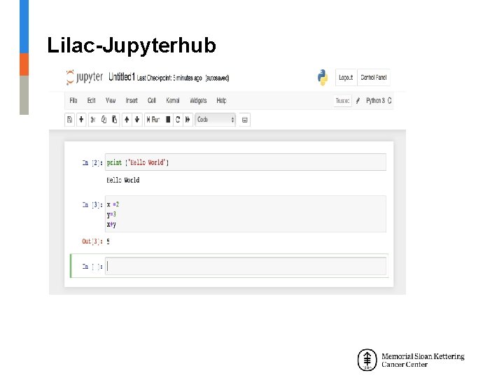 Lilac-Jupyterhub 