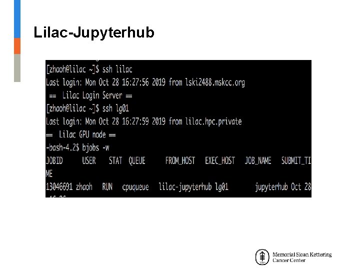 Lilac-Jupyterhub 