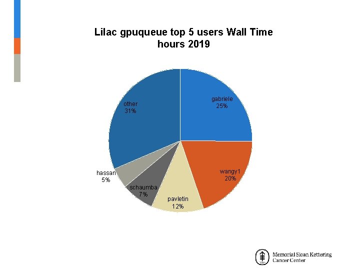Lilac gpuqueue top 5 users Wall Time hours 2019 gabriele 25% other 31% wangy