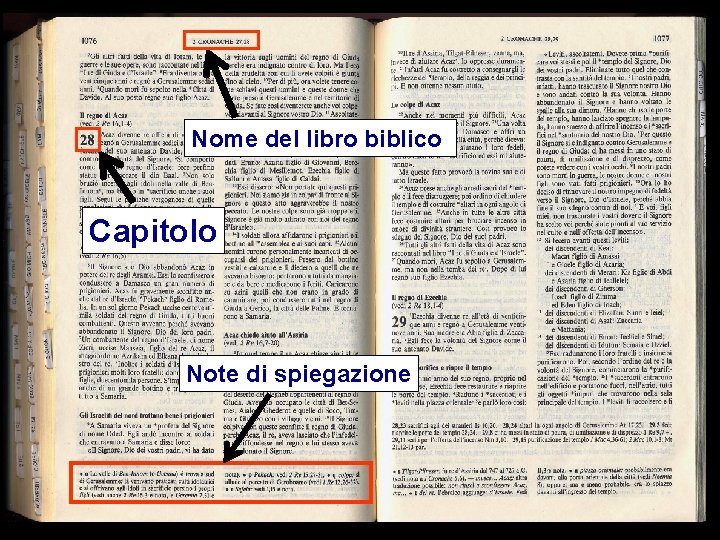Nome del libro biblico Capitolo Note di spiegazione 