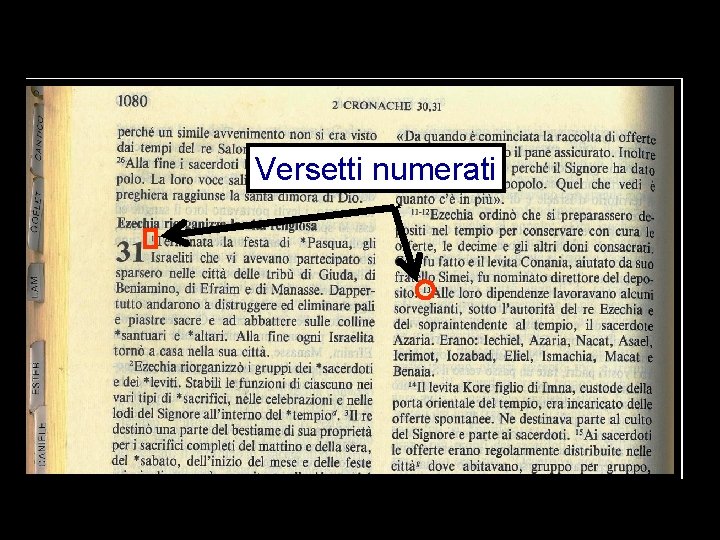 Versetti numerati 