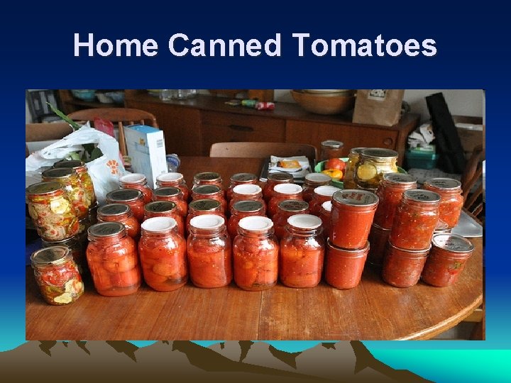 Home Canned Tomatoes 