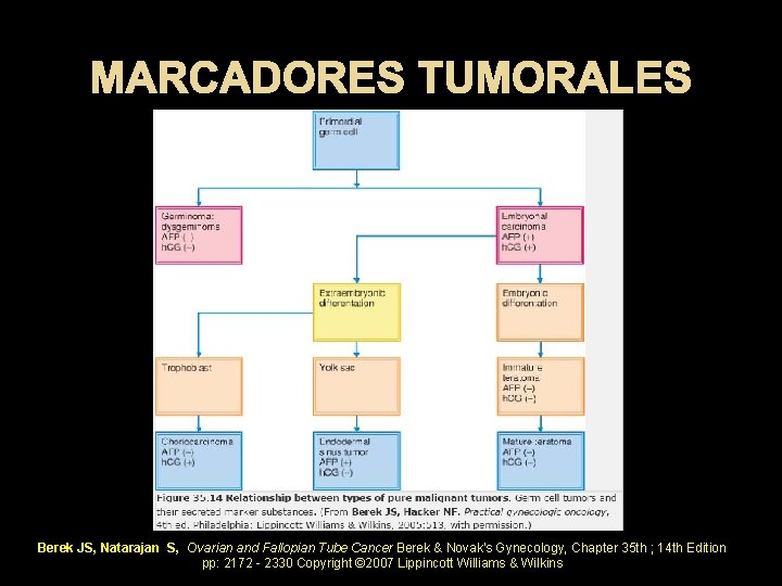 MARCADORES TUMORALES Berek JS, Natarajan S, Ovarian and Fallopian Tube Cancer Berek & Novak's