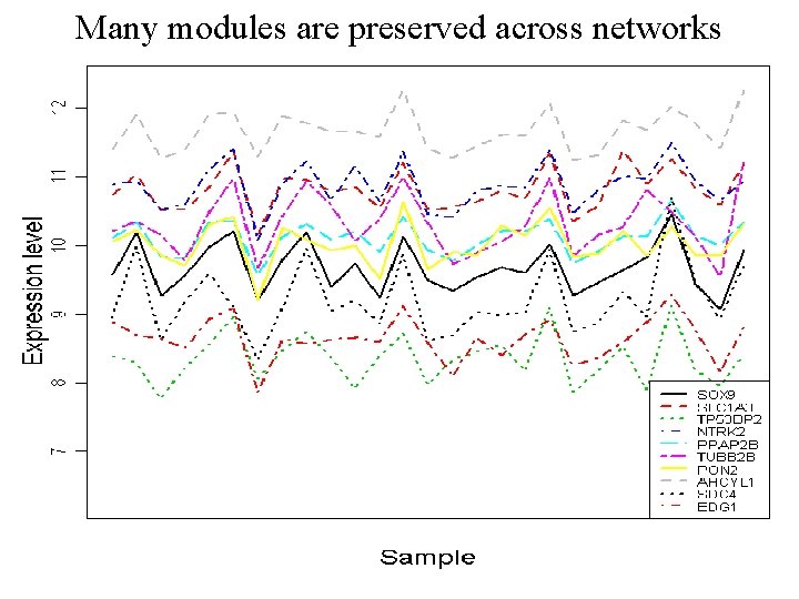 Many modules are preserved across networks 