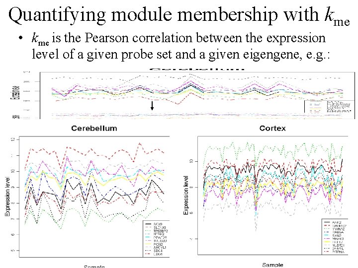 Quantifying module membership with kme • kme is the Pearson correlation between the expression