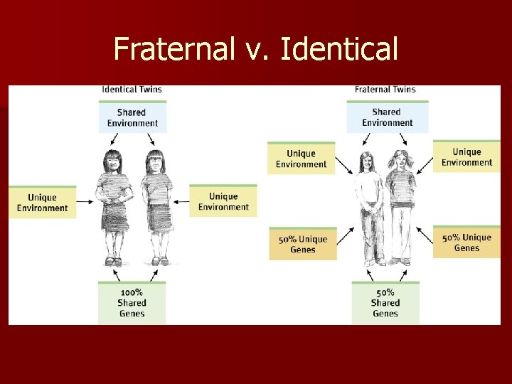 Fraternal v. Identical 