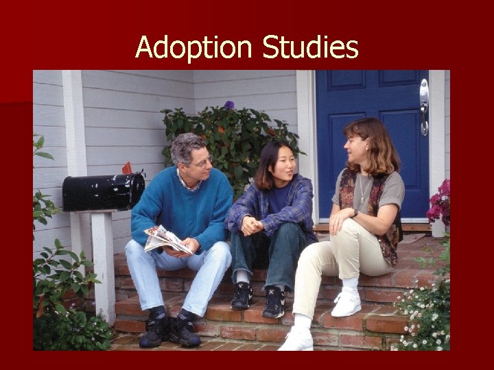 Adoption Studies 
