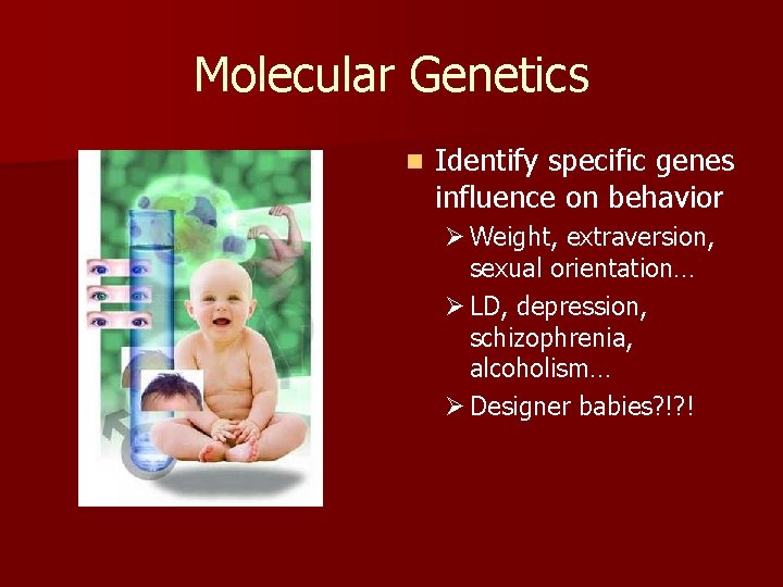 Molecular Genetics n Identify specific genes influence on behavior Ø Weight, extraversion, sexual orientation…