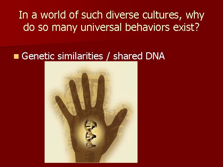 In a world of such diverse cultures, why do so many universal behaviors exist?