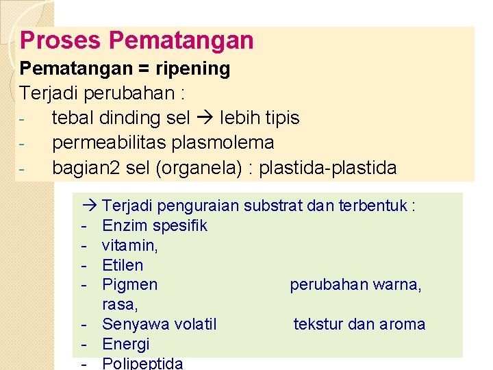 Proses Pematangan = ripening Terjadi perubahan : tebal dinding sel lebih tipis permeabilitas plasmolema