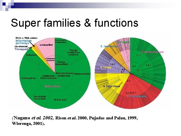 Super families & functions (Nagano et al. 2002, Rison et al. 2000, Pujadas and
