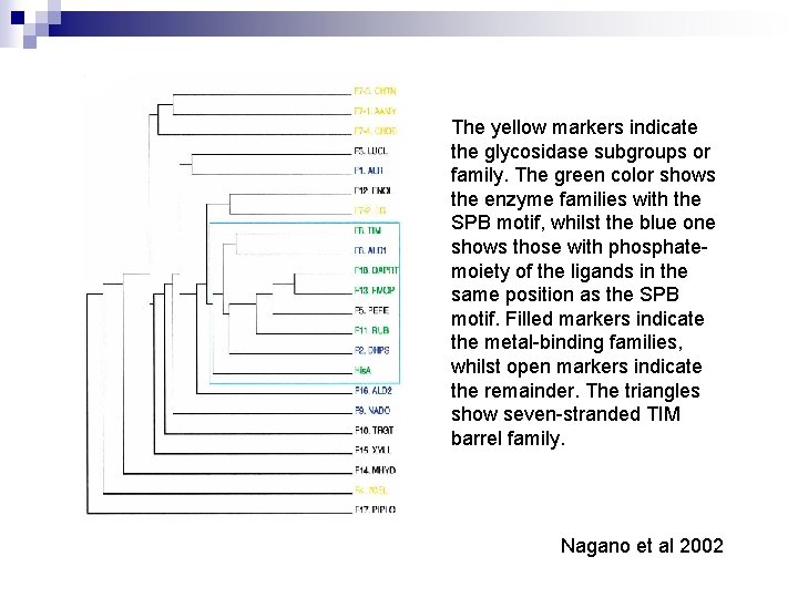 The yellow markers indicate the glycosidase subgroups or family. The green color shows the